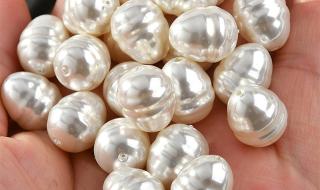 彩贝是什么材质 贝珠是什么材质